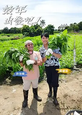 夜来香新声企划综艺